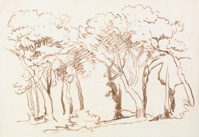 Study of Trees by David Cox